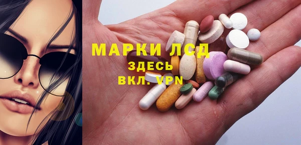 ПСИЛОЦИБИНОВЫЕ ГРИБЫ Верхний Тагил